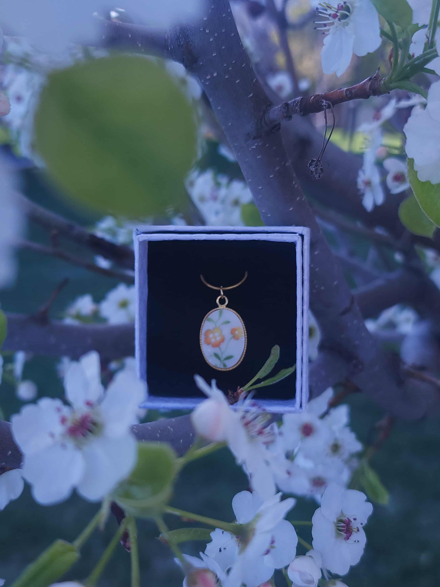 Sunlit Bloom